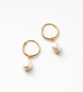 Bella Hoop Earrings - Mireva Jewelry